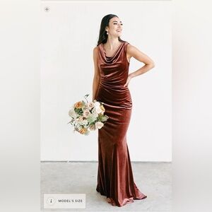 Revelry Faith Velvet Dress - Rust